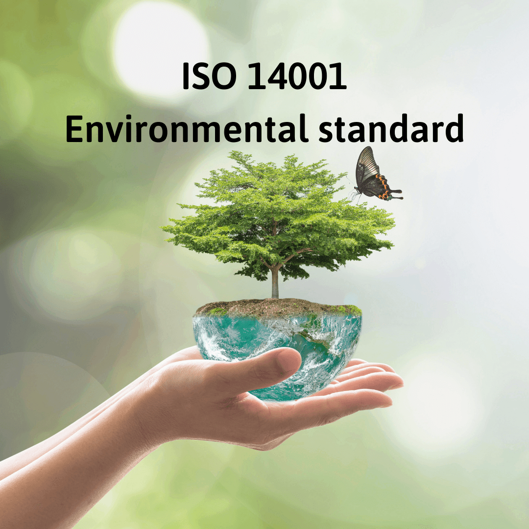Implementing an environmental management system